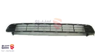 شبك صدام