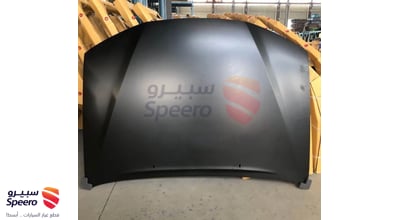 كبوت