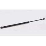 صورة مساعد كبوت يمين