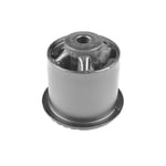 صورة جلبة كمر خلفي