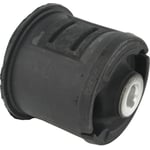 صورة جلبة كمر خلفي