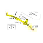 صورة دودة دركسون تحت