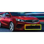 صورة Grille Bumper