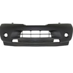 صورة صدام امامي