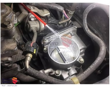 Throttle Body Cleaner - 621