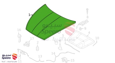 كبوت