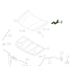 صورة مفصلة كبوت يمين