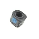 صورة جلدة عمود توازن خلفي