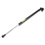 صورة Right Trunk Strut