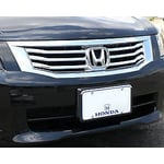 صورة شبك امامي