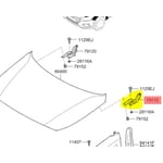 صورة Right Hood Hinge