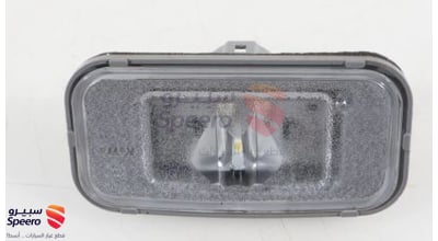 Rear License Plate Light