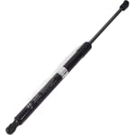 صورة Trunk Struts