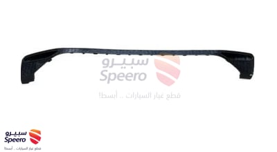 صاجة صدام خلفي