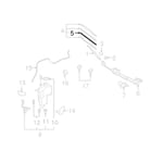 صورة ربلة مساحة امامي