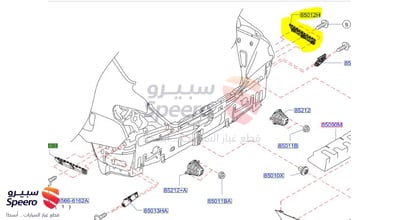 عظمة صدام خلفي يمين
