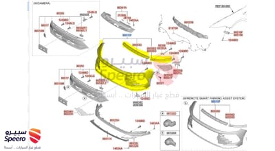 صدام امامي