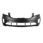 صورة صدام امامي