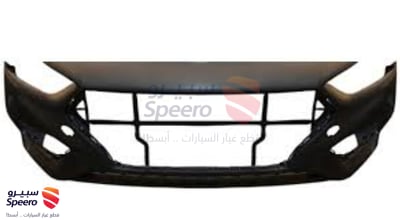 صدام امامي