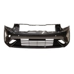 صورة صدام امامي