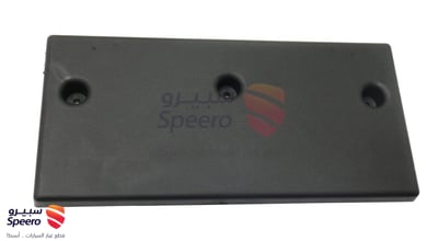 MOULDING-FRT BPR LICENSE PLATE