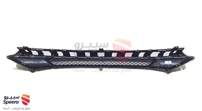 شبك صدام