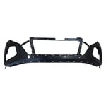 صورة صدام امامي