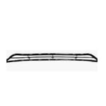 صورة Grille Bumper