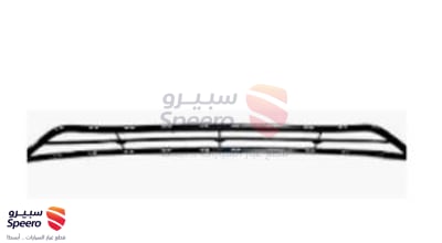 شبك صدام