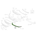 صورة لحية صدام امامي