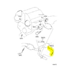 صورة حساس شكمان