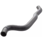 صورة Hot Water Hose