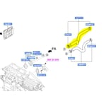 صورة Upper Radiator Hose