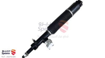 Left Rear Hydraulic Shock Absorber