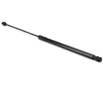 صورة Right Trunk Strut