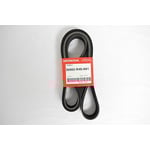 صورة Engine Belt