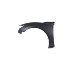 صورة Front Left Fender