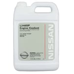 صورة ماء رديتر نيسان