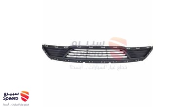 Grille Bumper