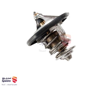 THERMOSTAT ASSY - 2550025001