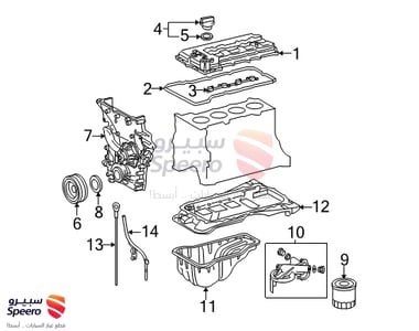 1131075074 - 1131075074