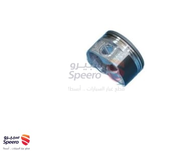 Piston - 131015008202