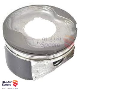 Piston - 131015008202