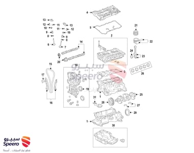 Bearing Pair Set-Crank shaft - 210202E030