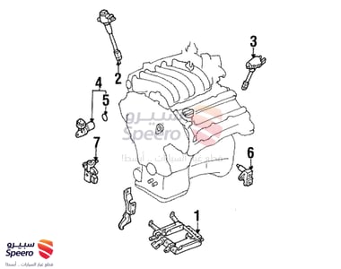 كويل - 2244831U01