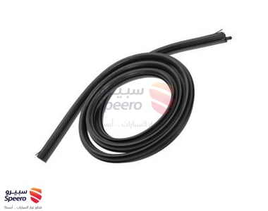 Surround Weatherstrip - 22766409