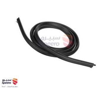 Surround Weatherstrip - 22766409