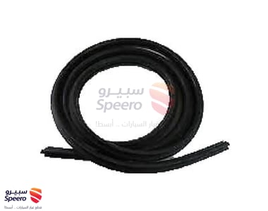 Surround Weatherstrip - 22766409
