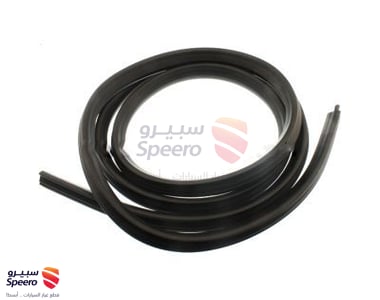 Surround Weatherstrip - 22766409