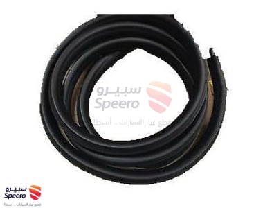 Surround Weatherstrip - 22766410